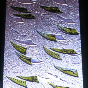 Comme une pluie
de feuilles vertes